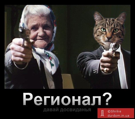 Бабуся, яка переписала хату на кота: інтернет жартує. ФОТО